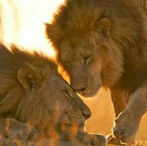 Meet your Posher, Jeanette